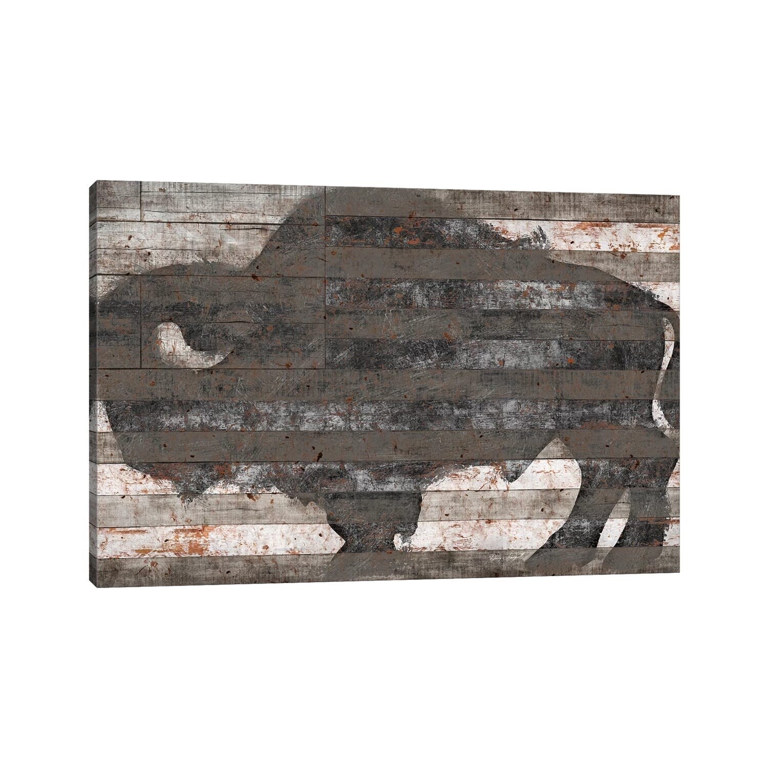 Icanvas Buffalo Ii By Diego Tirigall Canvas Print