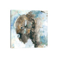 Icanvas Buffalo On Blue By Carol Robinson Canvas Print