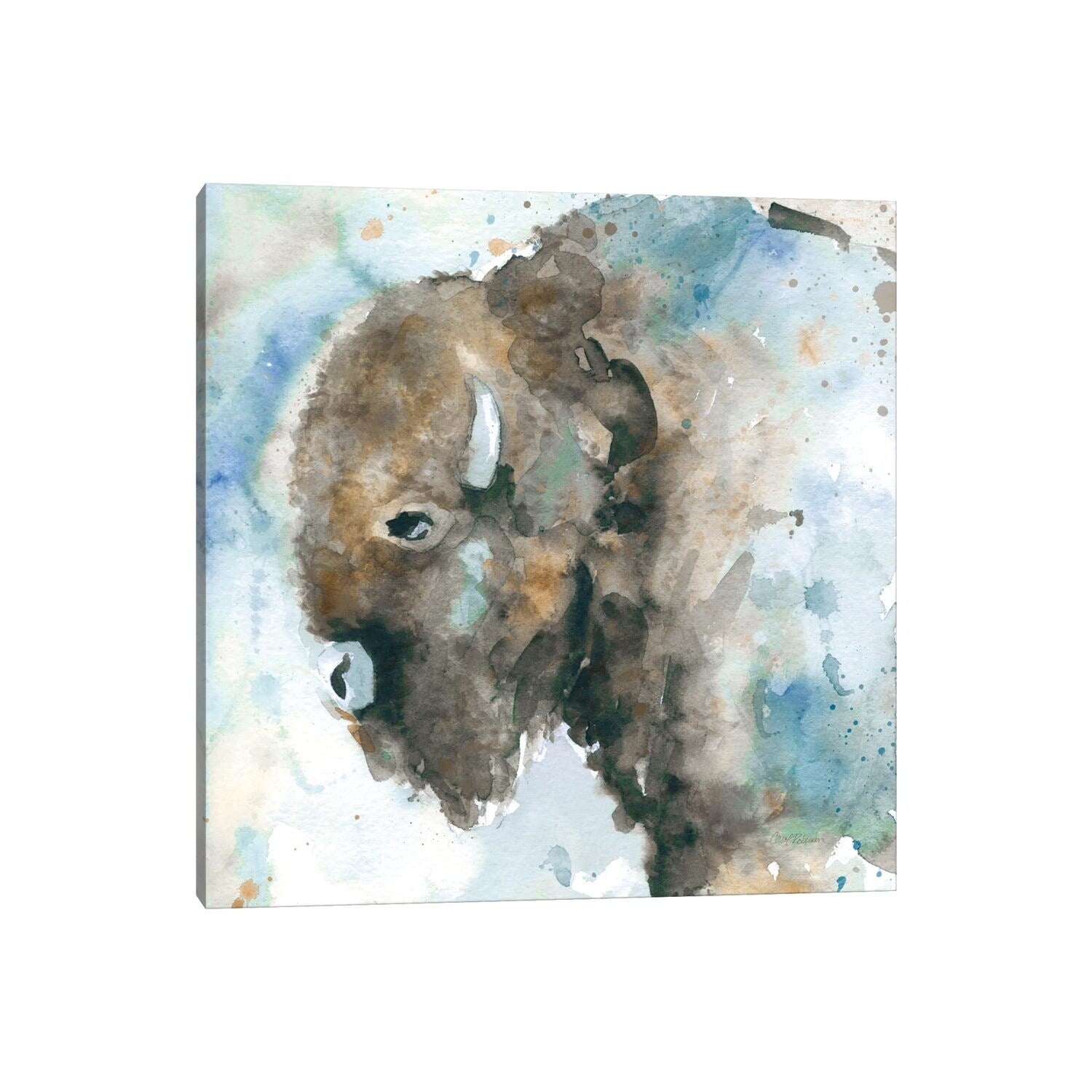 Icanvas Buffalo On Blue By Carol Robinson Canvas Print