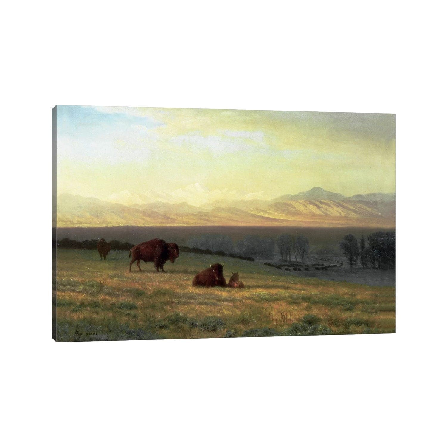 Icanvas Buffalo On The Plains C.1890 By Albert Bierstadt Canvas Print