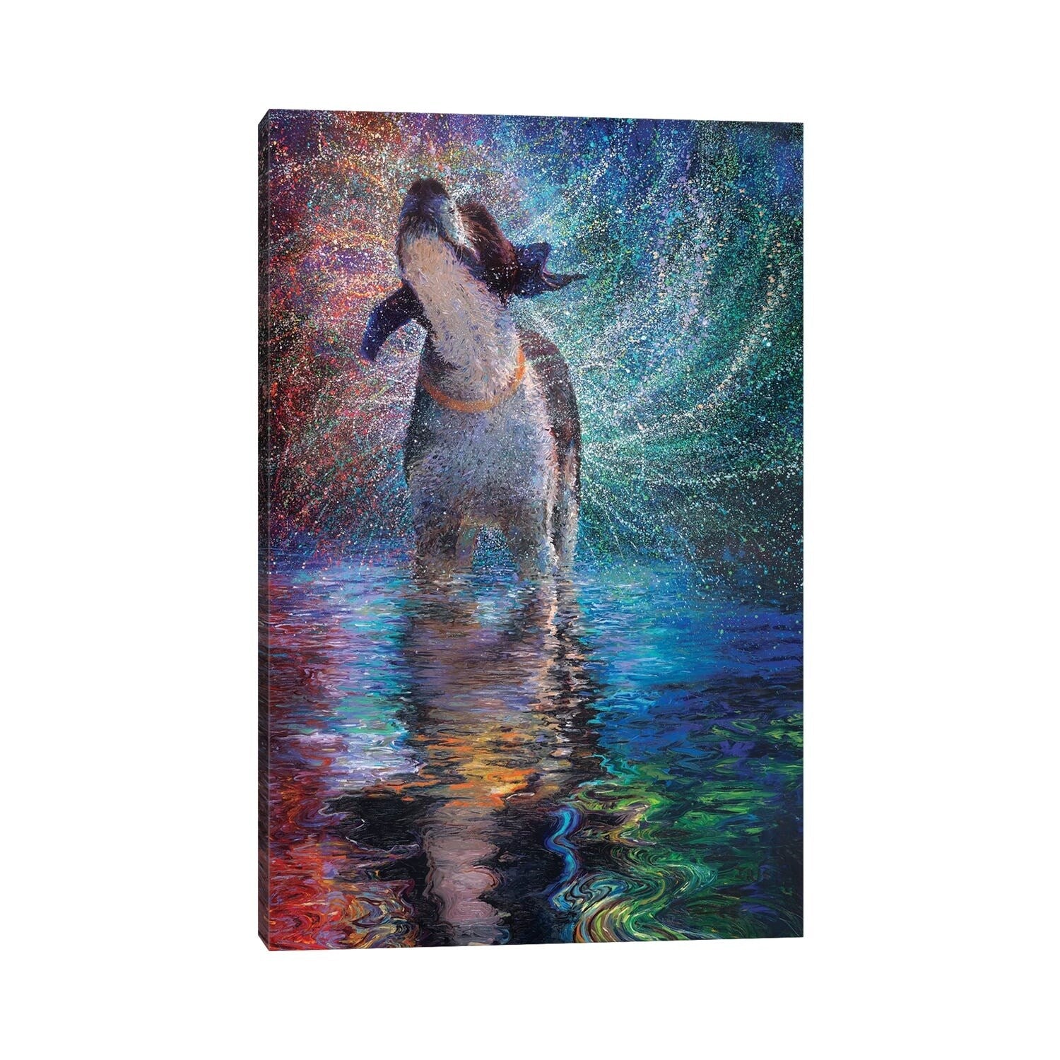Icanvas Canis Arcus By Iris Scott Gallery Wrapped Canvas Print