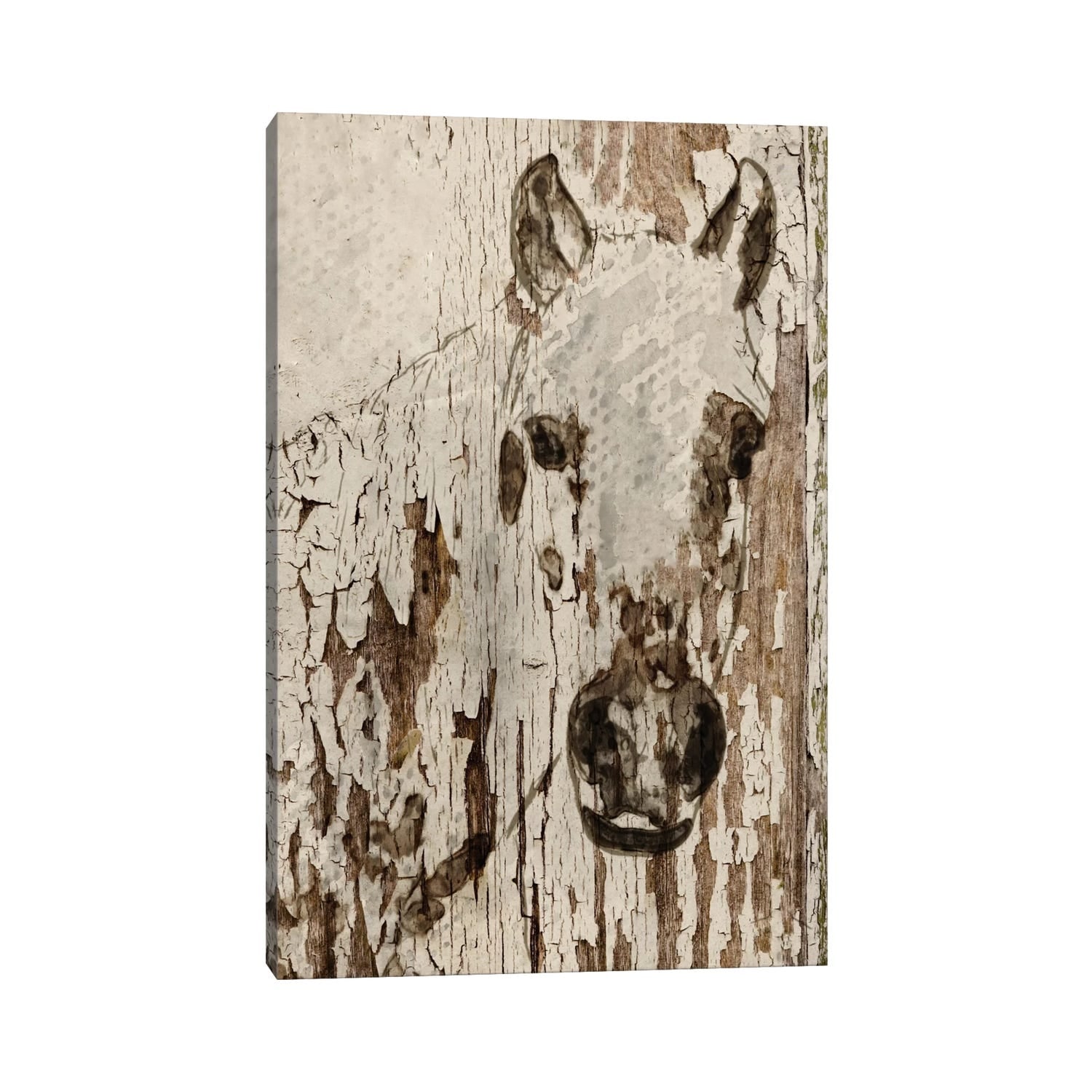 Icanvas Champagne Horse By Irena Orlov Canvas Print