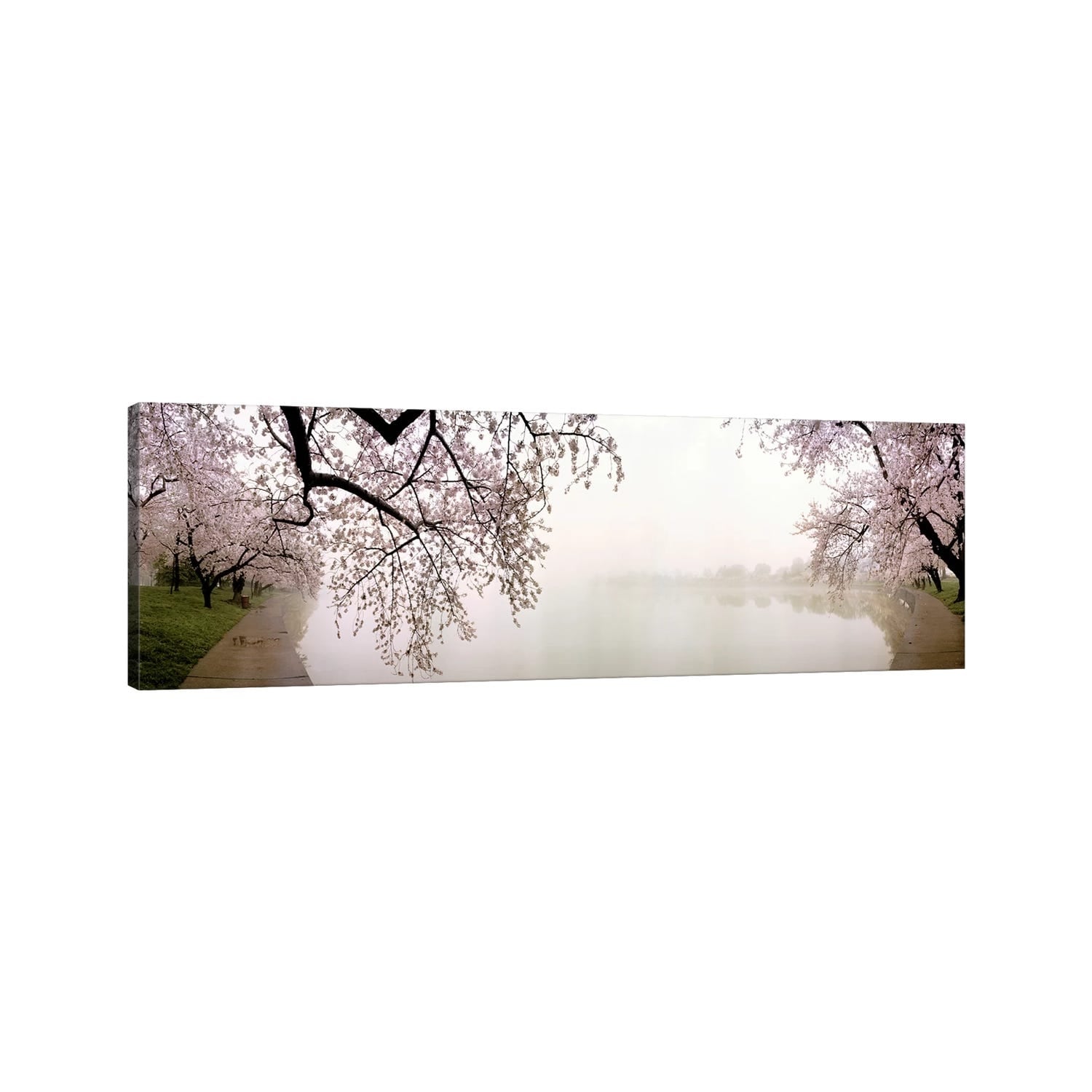 Icanvas Cherry Blossoms At The Lakesidewashington Dc Usa By Panoramic Images Canvas Print