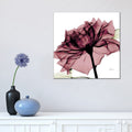 Icanvas Chianti Rose I By Albert Koetsier Canvas Print