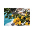 Icanvas Close Up View Of A Lemon Tree With Fruit Positano Amalfi Coast Campania Italy By George Oze