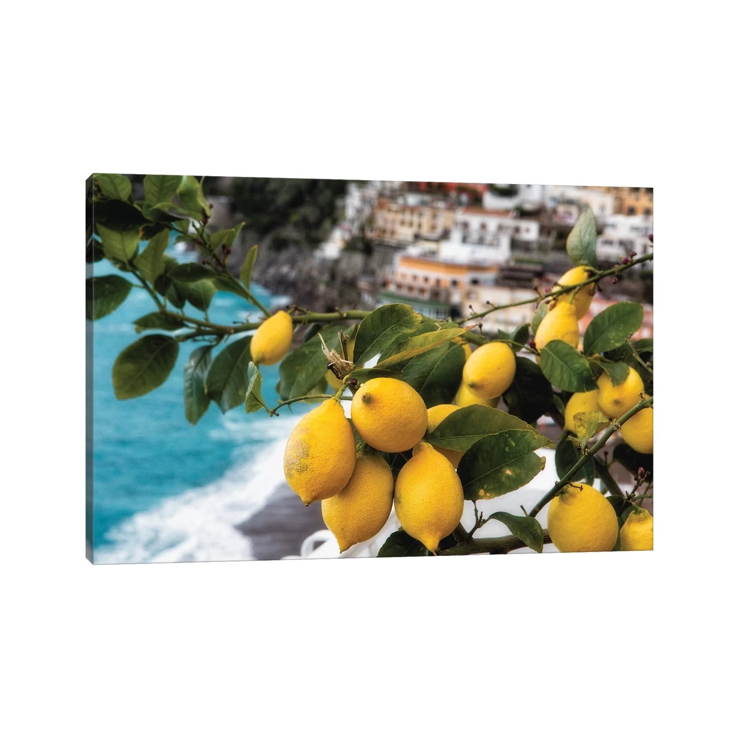 Icanvas Close Up View Of A Lemon Tree With Fruit Positano Amalfi Coast Campania Italy By George Oze