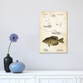 Icanvas Crappie Fishing Lure By Patent77 Gallery Wrapped Canvas Print