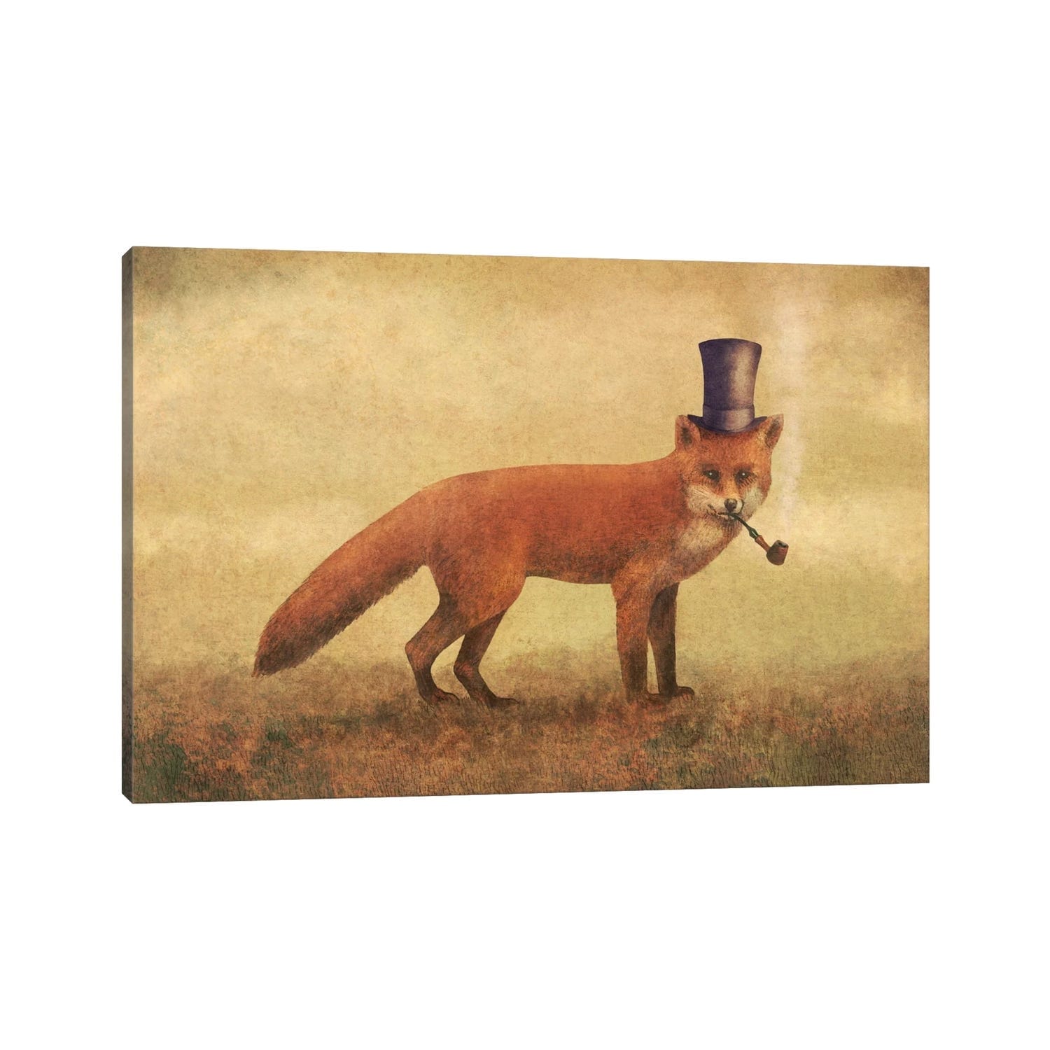 Icanvas Crazy Like A Fox By Terry Fan Canvas Print
