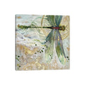 Icanvas Damsel Fly Ii By Stephanie Law