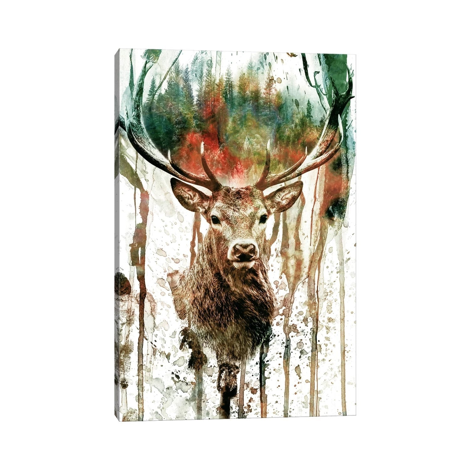 Icanvas Deer I By Riza Peker Canvas Print