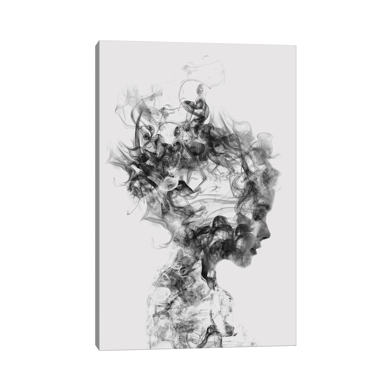 Icanvas Dissolve Me By D Niel Taylor Canvas Print