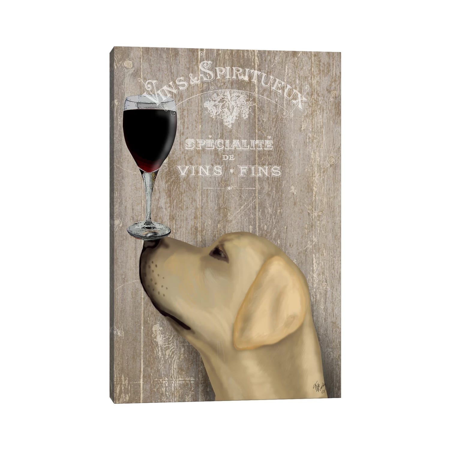 Icanvas Dog Au Vine Yellow Labrador By Fab Funky Canvas Print