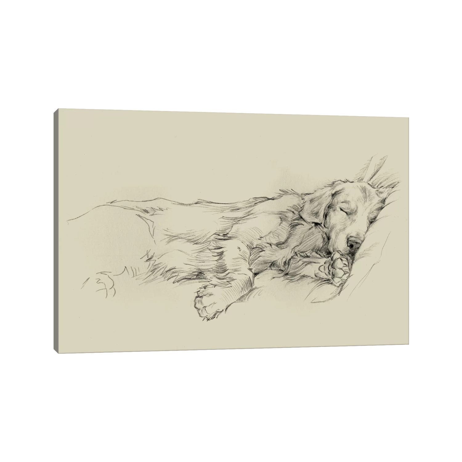 Icanvas Dog Days Iii By Ethan Harper