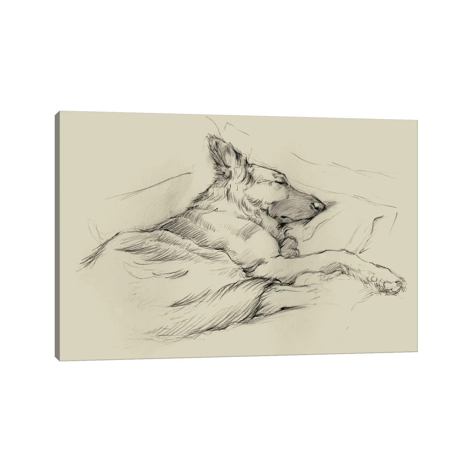 Icanvas Dog Days Iv By Ethan Harper