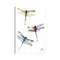 Icanvas Dragonflies By Dean Crouser Canvas Print