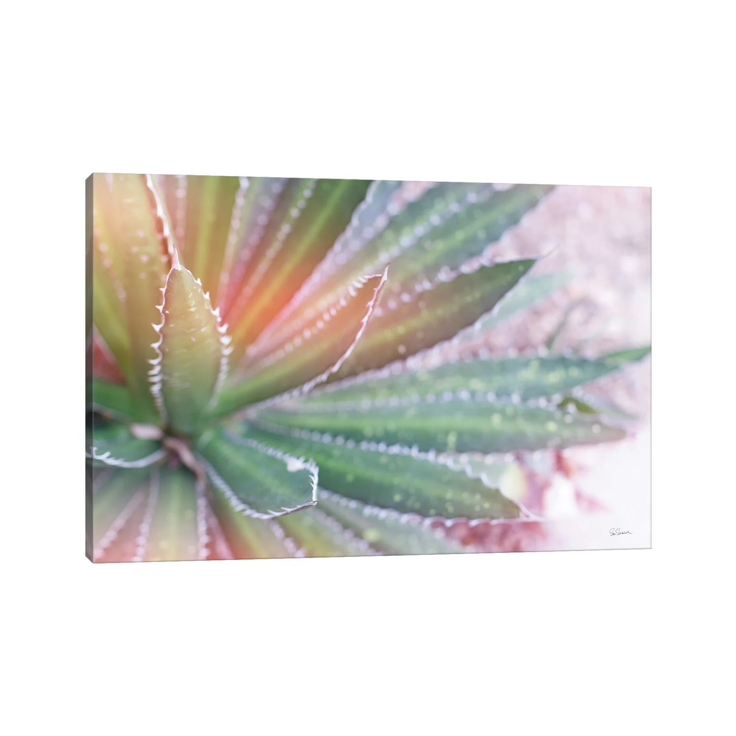 Icanvas Dream Desert I By Sue Schlabach Canvas Print