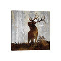 Icanvas Elk By Carl Colburn Canvas Print