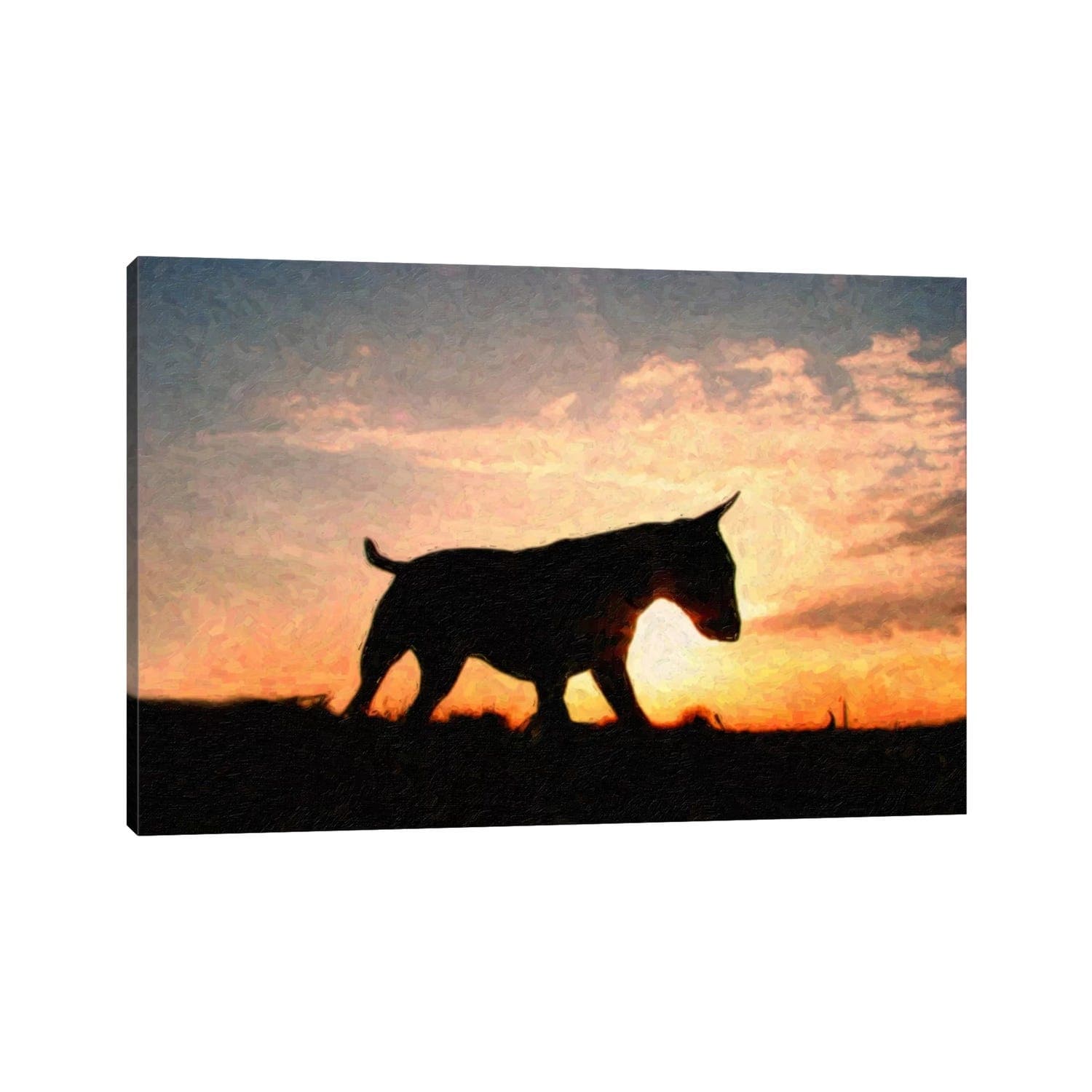 Icanvas Michael Thompsett English Bull Terrier Canvas Print Wall Art