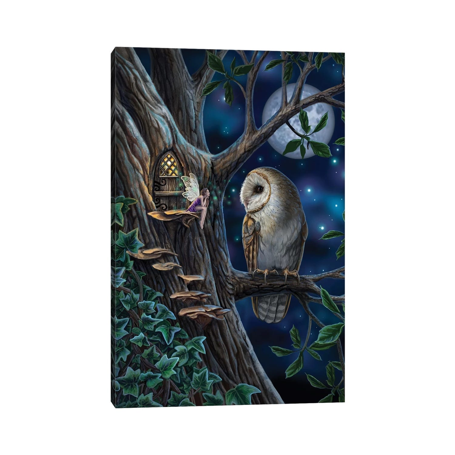 Icanvas Fairy Tales By Lisa Parker