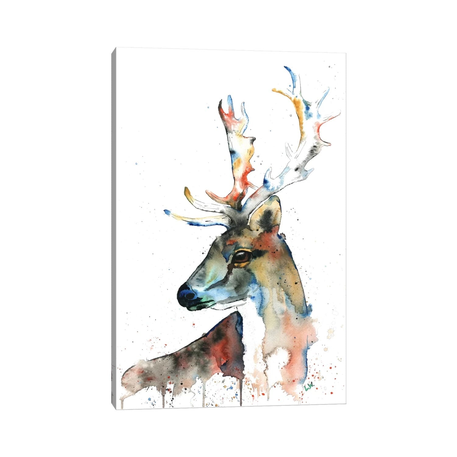 Icanvas Fallow Deer By Lisa Whitehouse Canvas Print