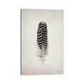 Icanvas Feather I By Debra Van Swearingen Canvas Print