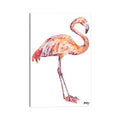 Icanvas Flamingo By Becksy Canvas Print