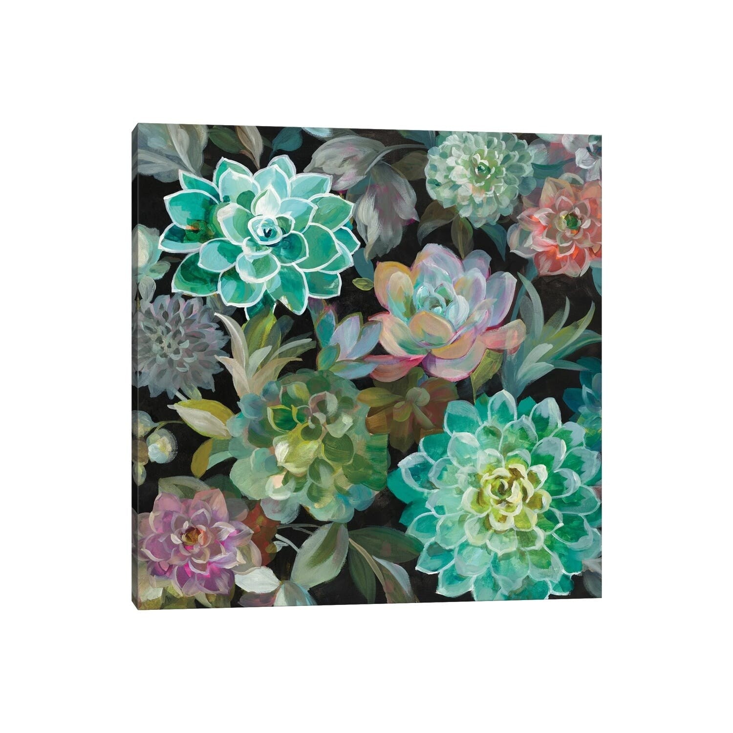 Icanvas Floral Succulents In Zoom By Danhui Nai