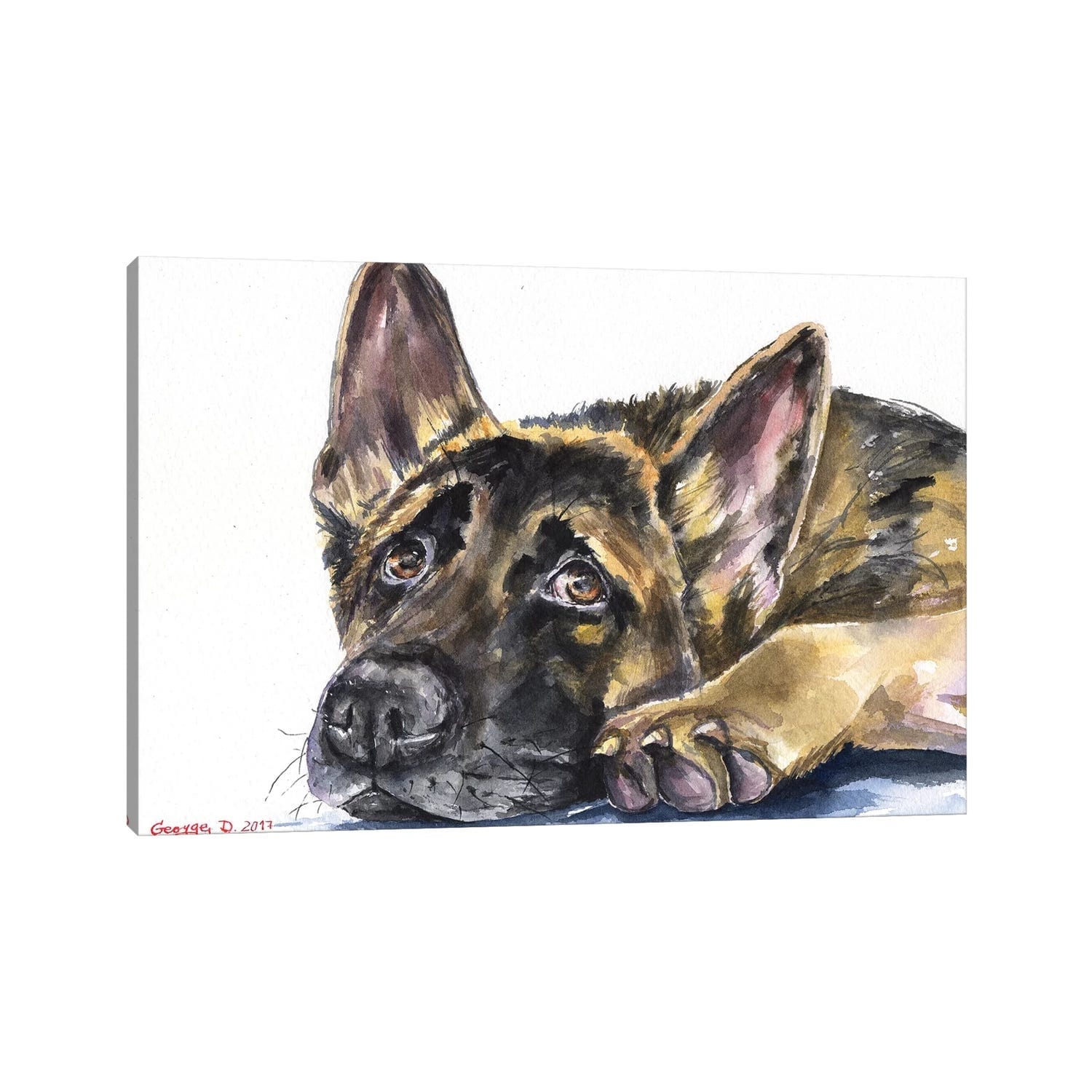 Icanvas German Shepherd By George Dyachenko