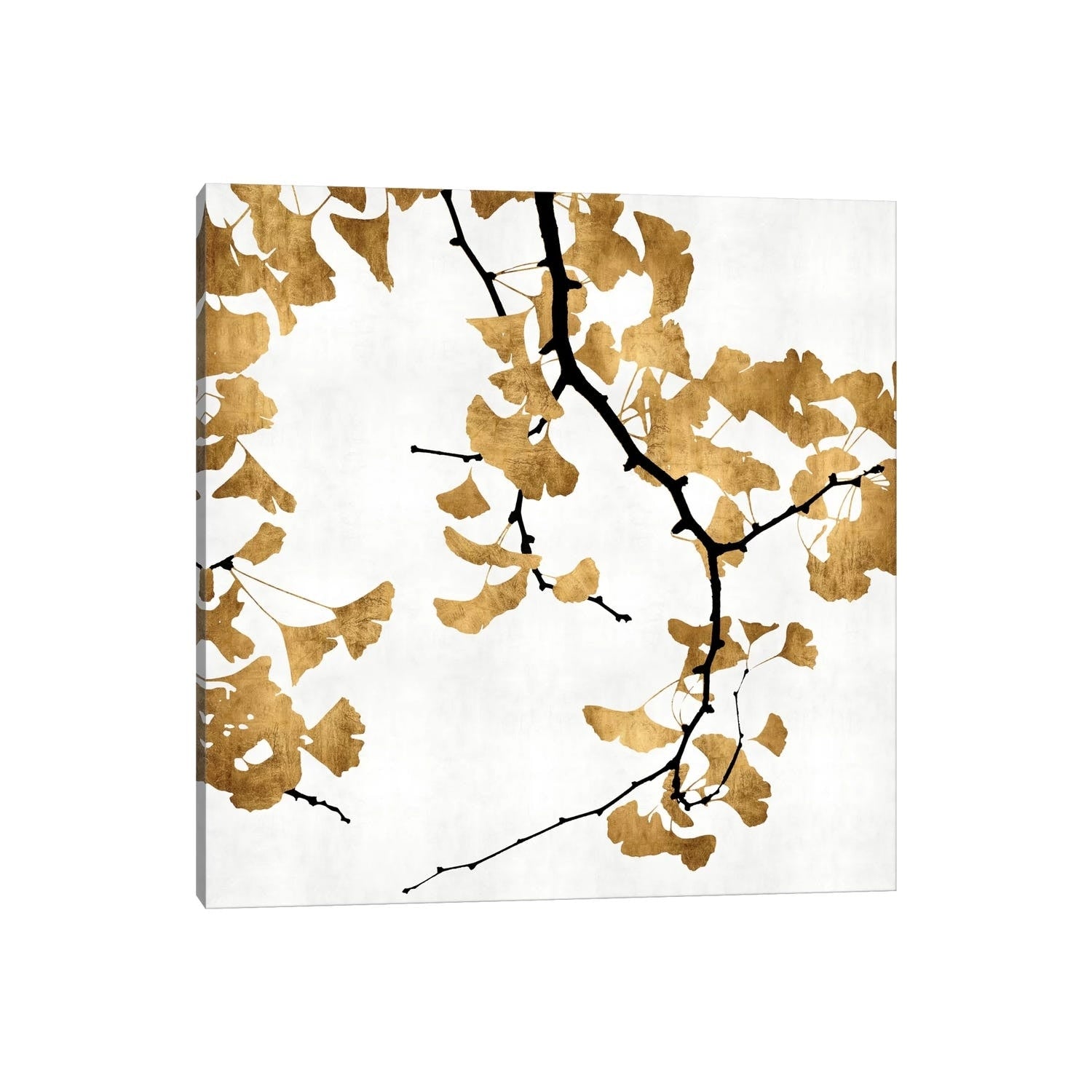 Icanvas Ginkgo In Gold Ii By Kate Bennett Canvas Print