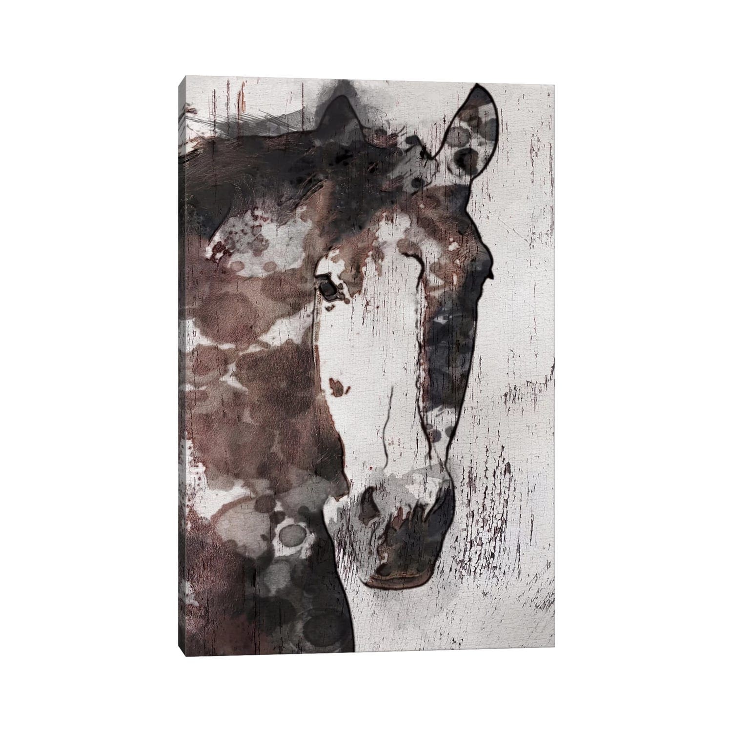 Icanvas Gorgeous Horse Iv By Irena Orlov Canvas Print