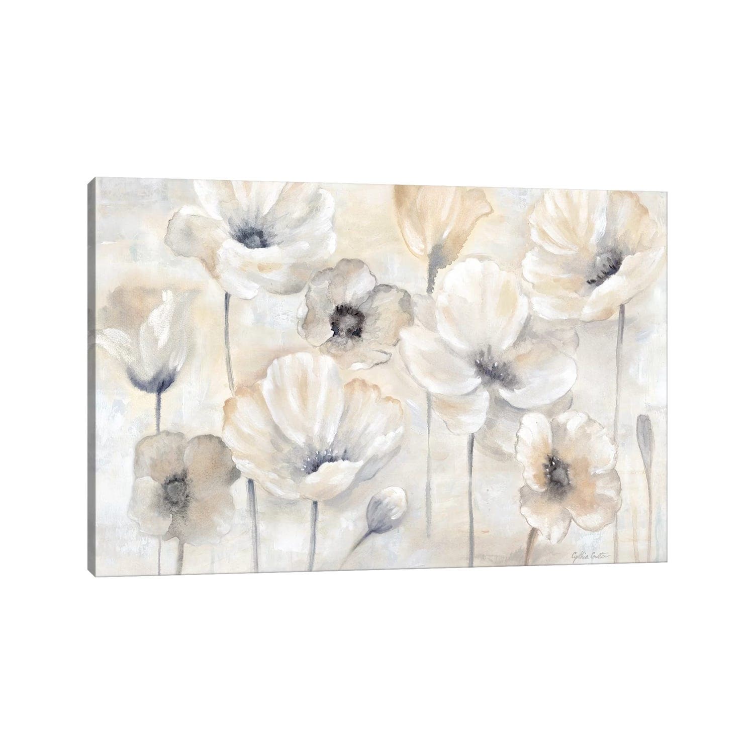 Icanvas Gray Poppy Garden Landscape By Cynthia Coulter
