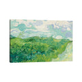 Icanvas Green Wheat Fields Auvers 1890 By Vincent Van Gogh Gallery Wrapped Canvas Print