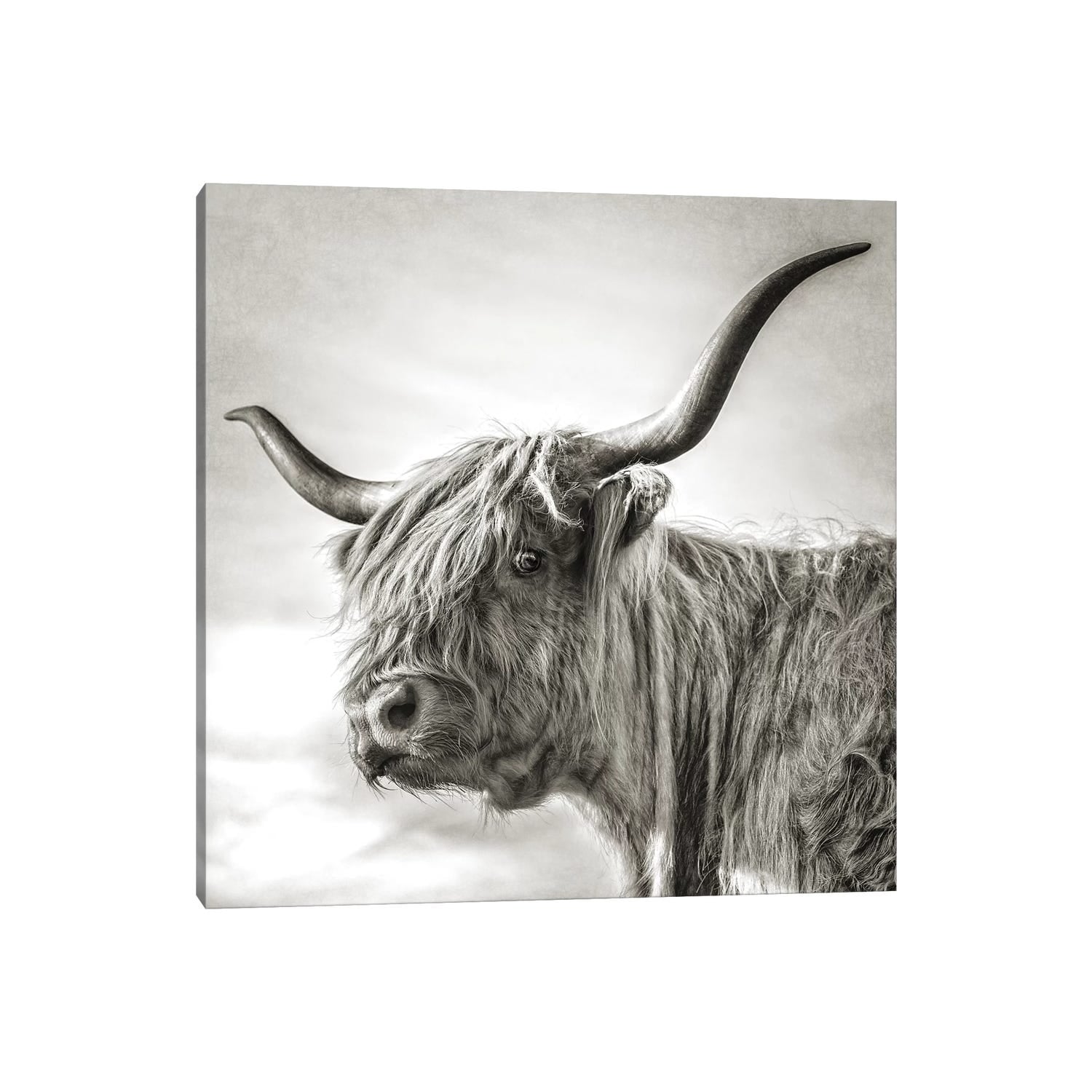 Icanvas Hesitate By Mark Gemmell