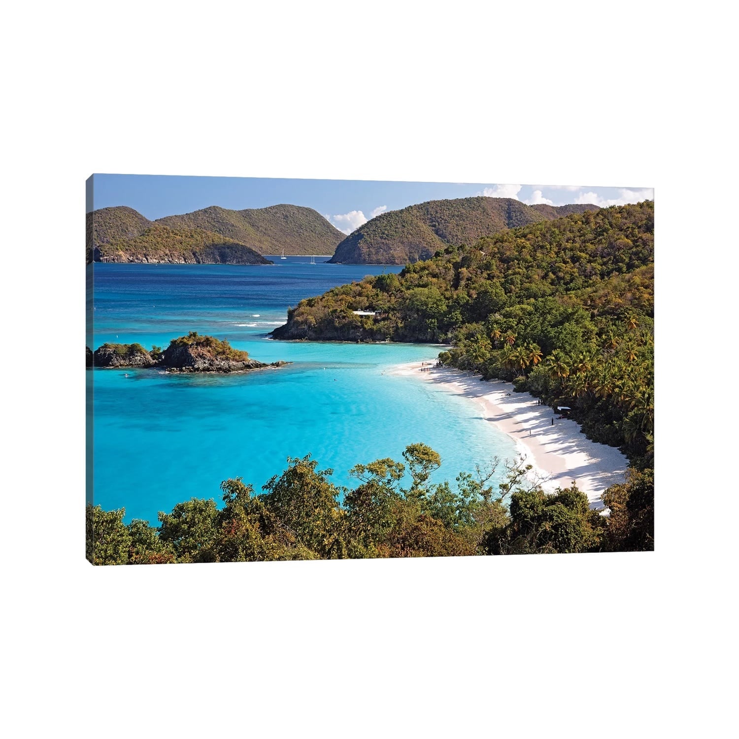 Icanvas High Angle View Of A Bay Trunk Buy St. John Us Virgin Islands By George Oze