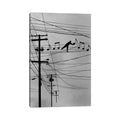 Icanvas High Notes By Rob Dobi Canvas Print