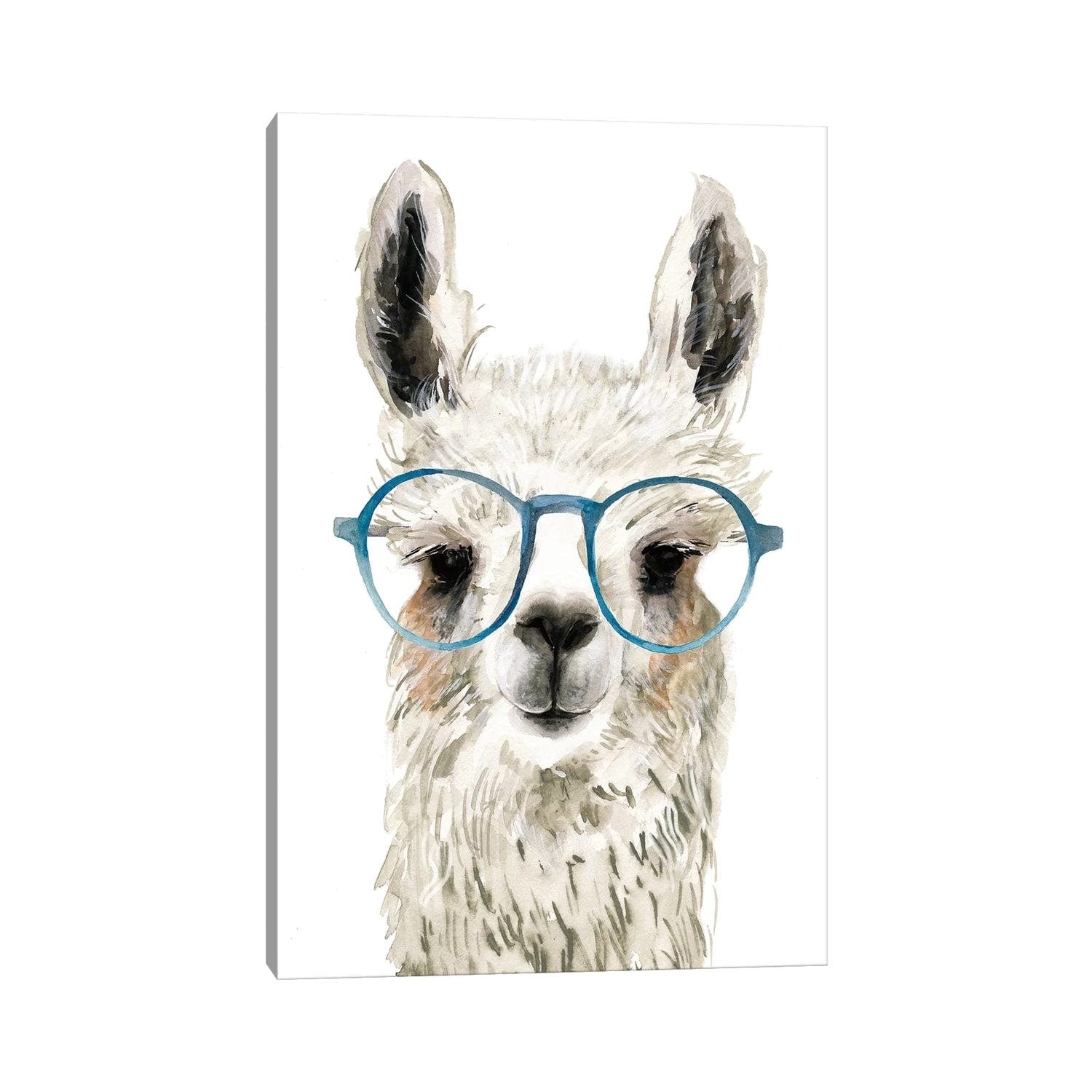 Icanvas Hip Llama Ii By Victoria Borges
