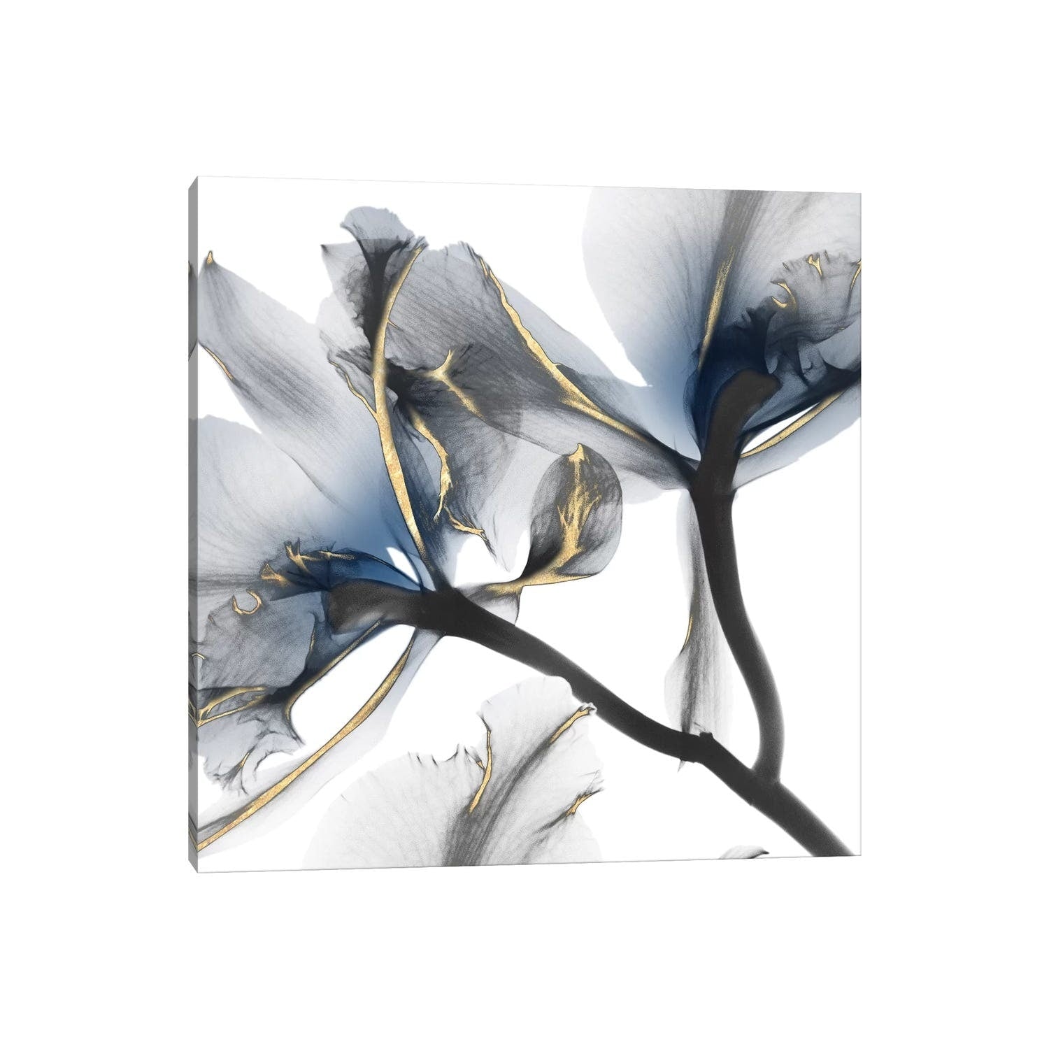 Icanvas Indigo Luster Cyclamen Ii By Albert Koetsier Canvas Print