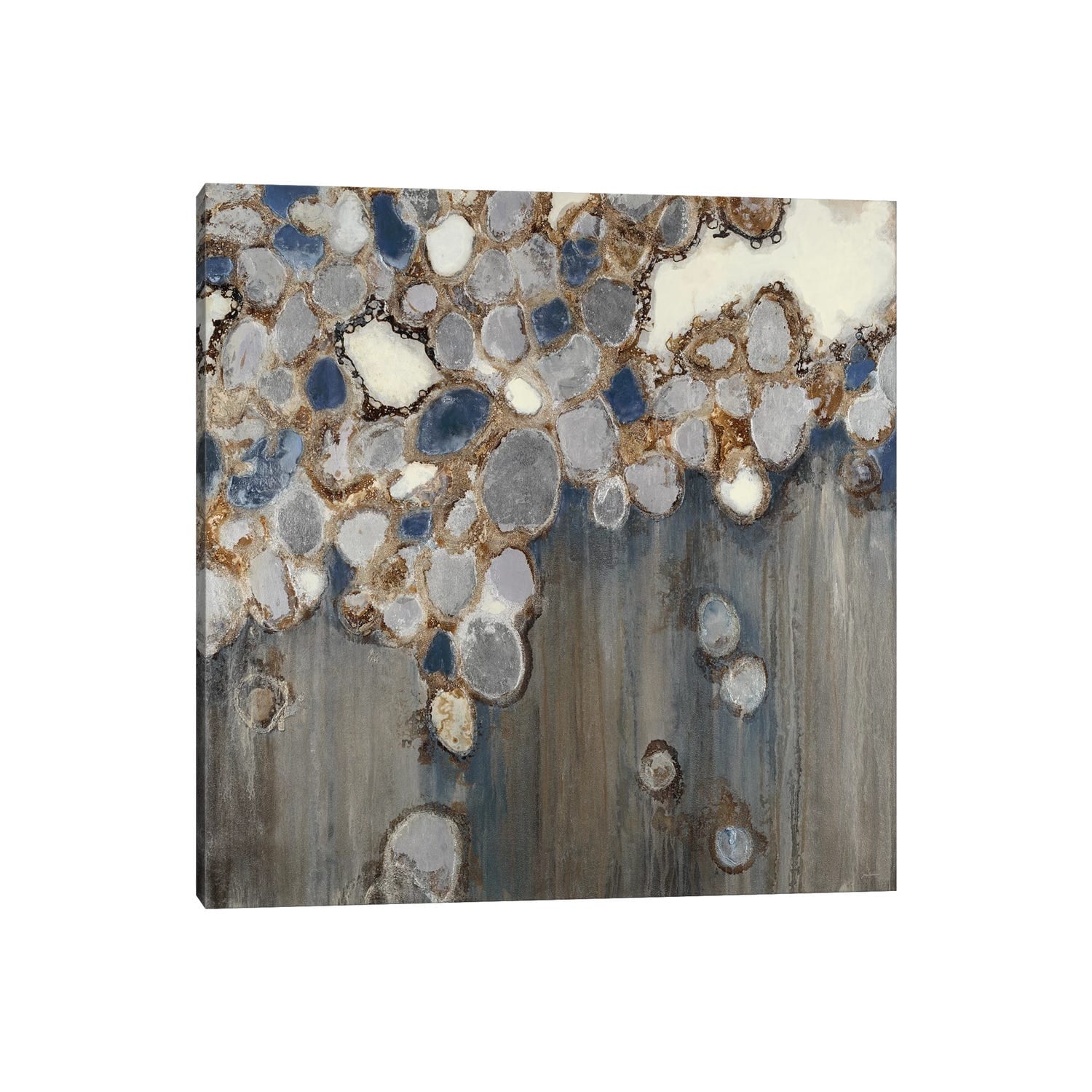 Icanvas Indigo Oyster Shells By Liz Jardine