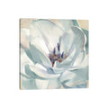 Icanvas Iridescent Bloom Ii By Carol Robinson Canvas Print