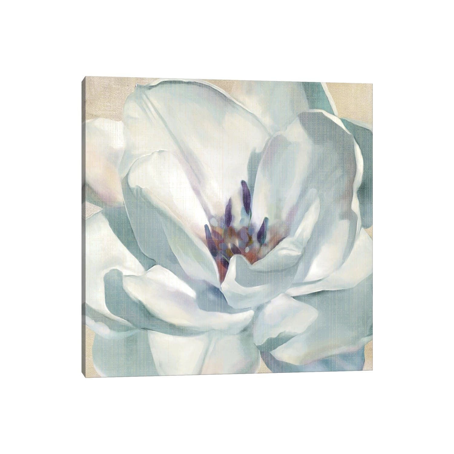 Icanvas Iridescent Bloom Ii By Carol Robinson Canvas Print
