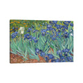 Icanvas Irises 1889 By Vincent Van Gogh Canvas Print