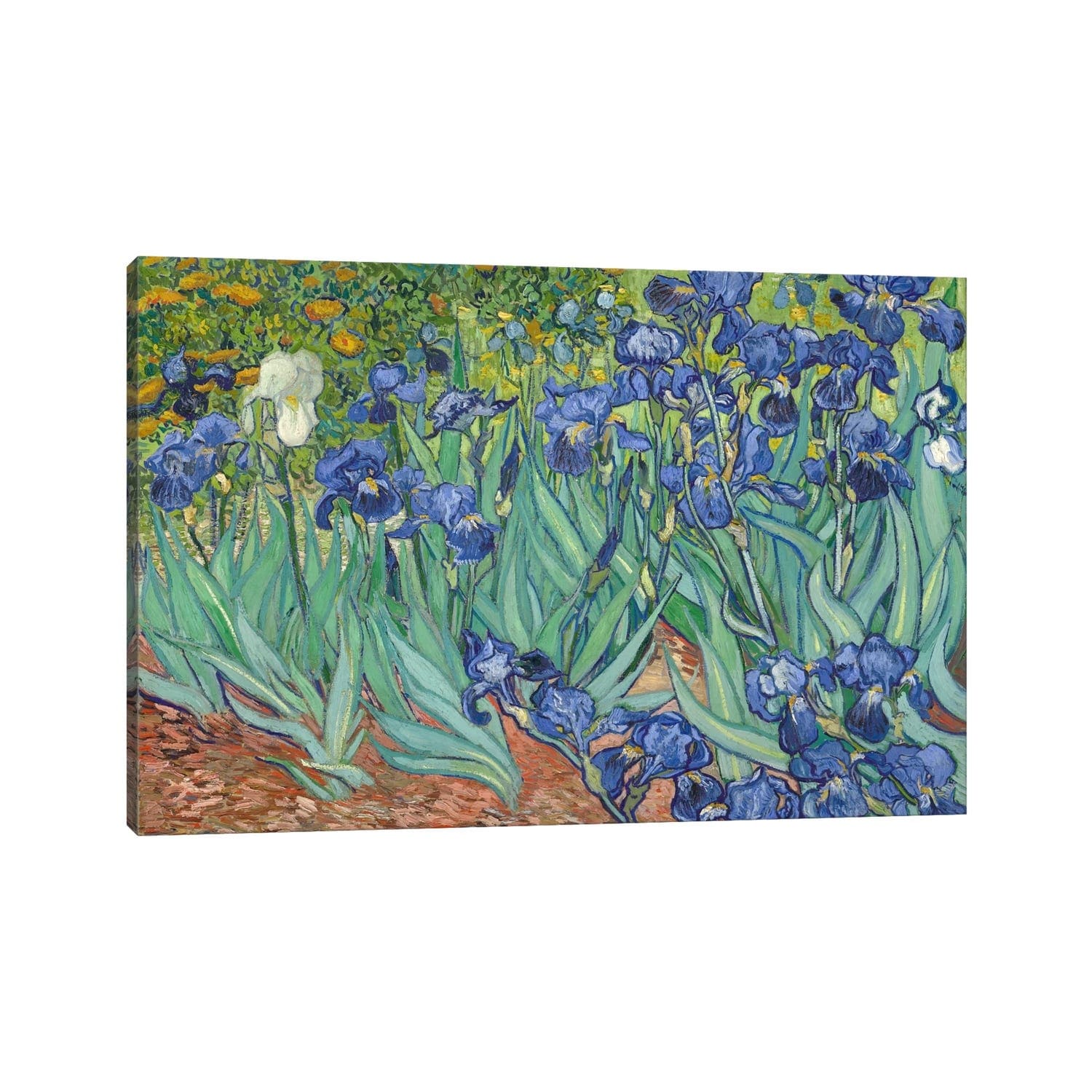 Icanvas Irises 1889 By Vincent Van Gogh Canvas Print