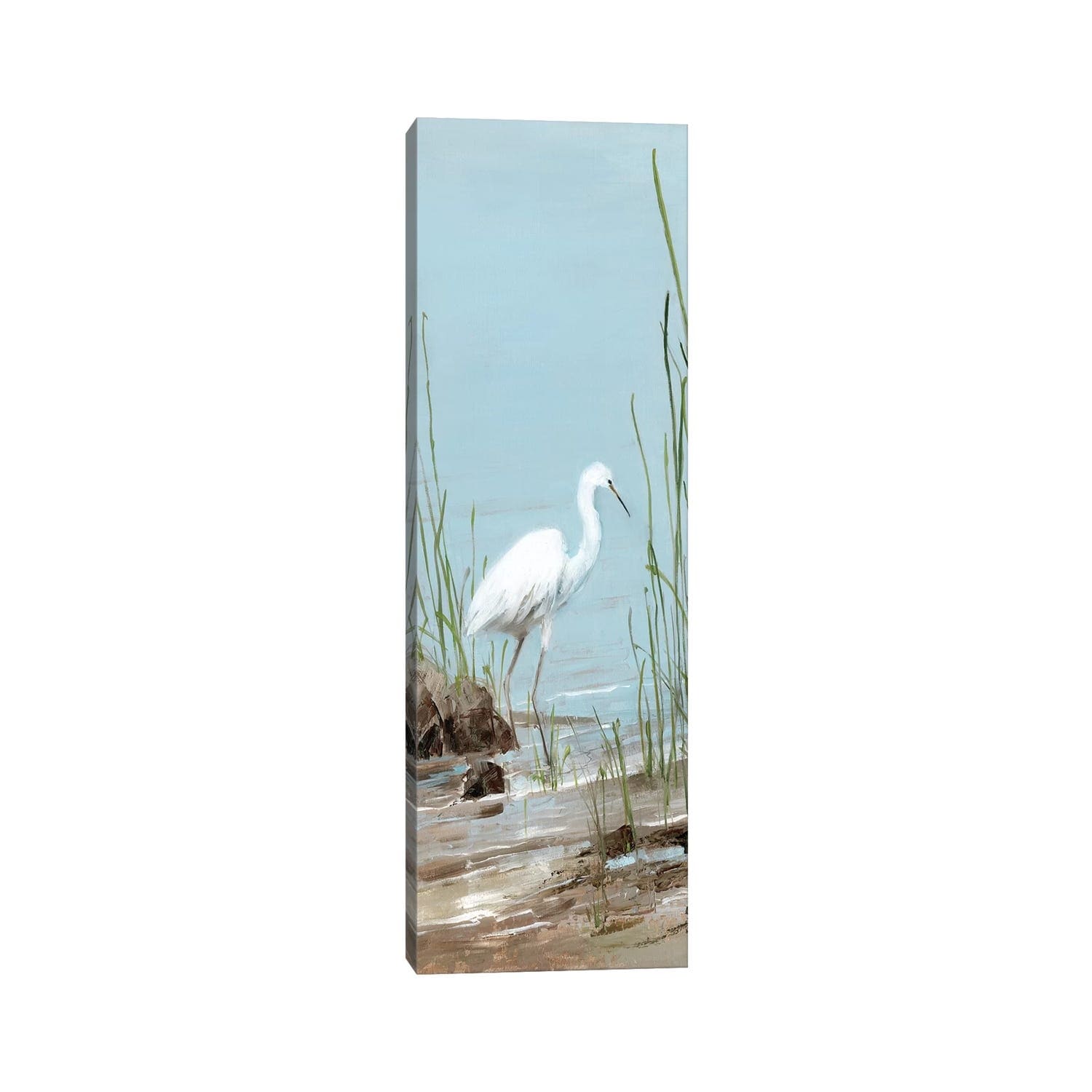 Icanvas Island Egret I By Sally Swatland Gallery Wrapped Canvas Print