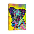 Icanvas Jack Russell By Dean Russo Canvas Print