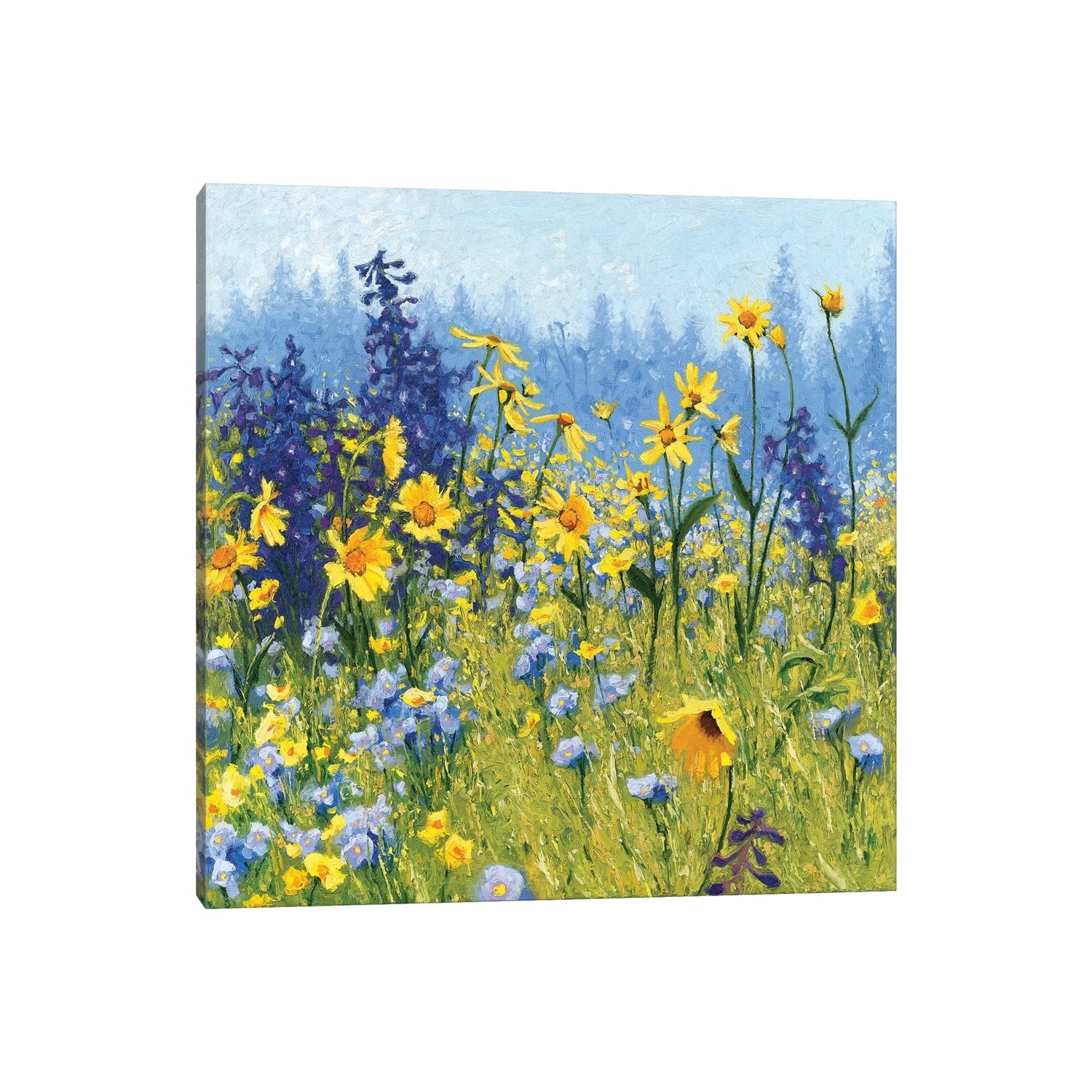 Icanvas Joyful In July Iii By Shirley Novak