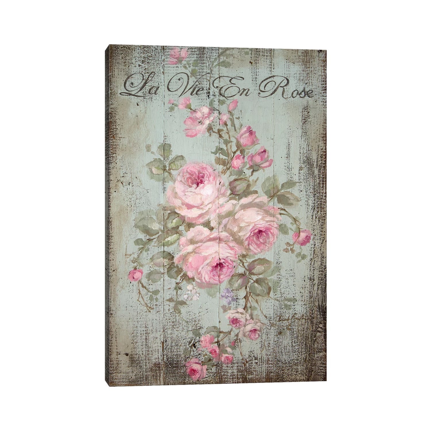 Icanvas La Vie En Rose By Debi Coules Canvas Print
