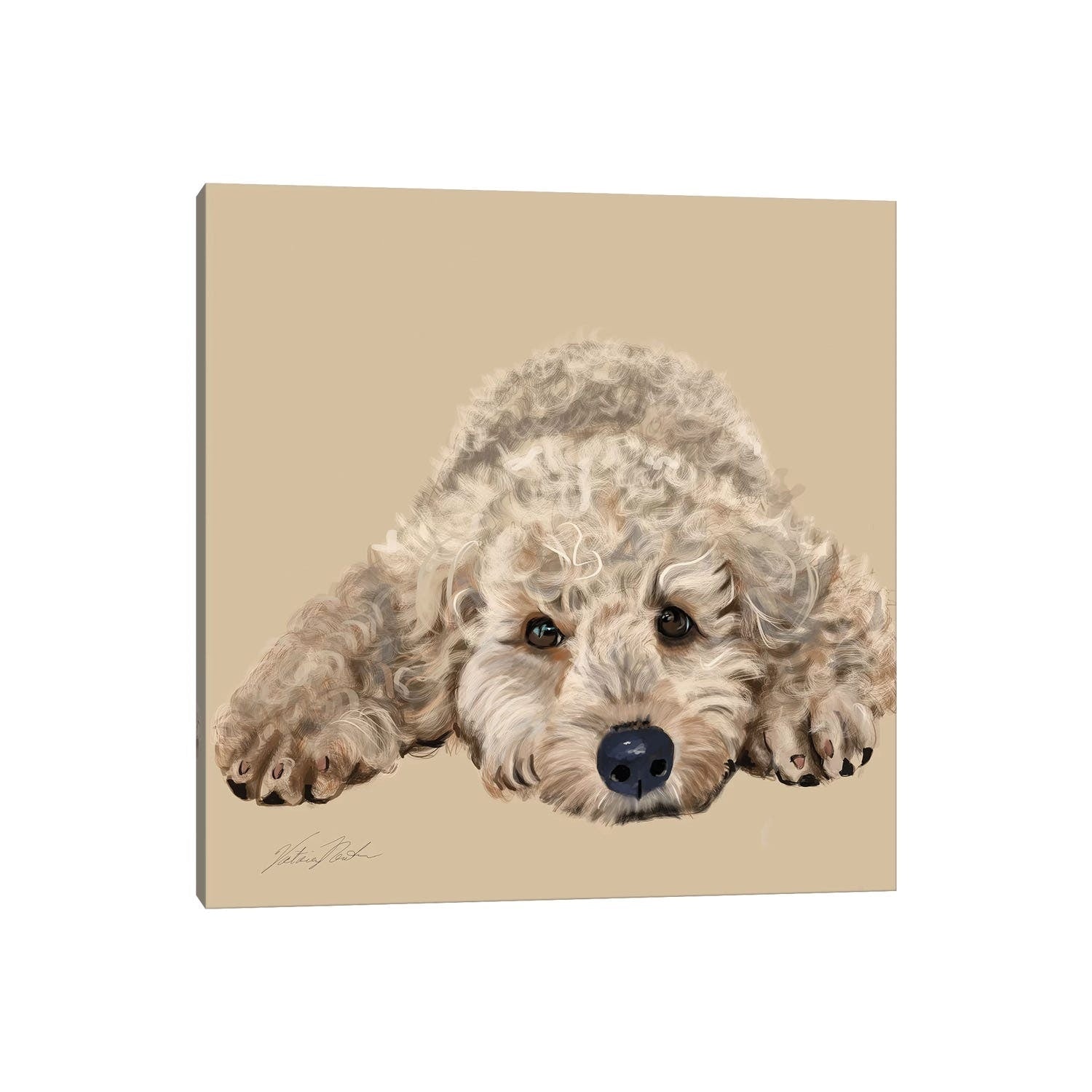 Icanvas Labradoodle By Vicki Newton