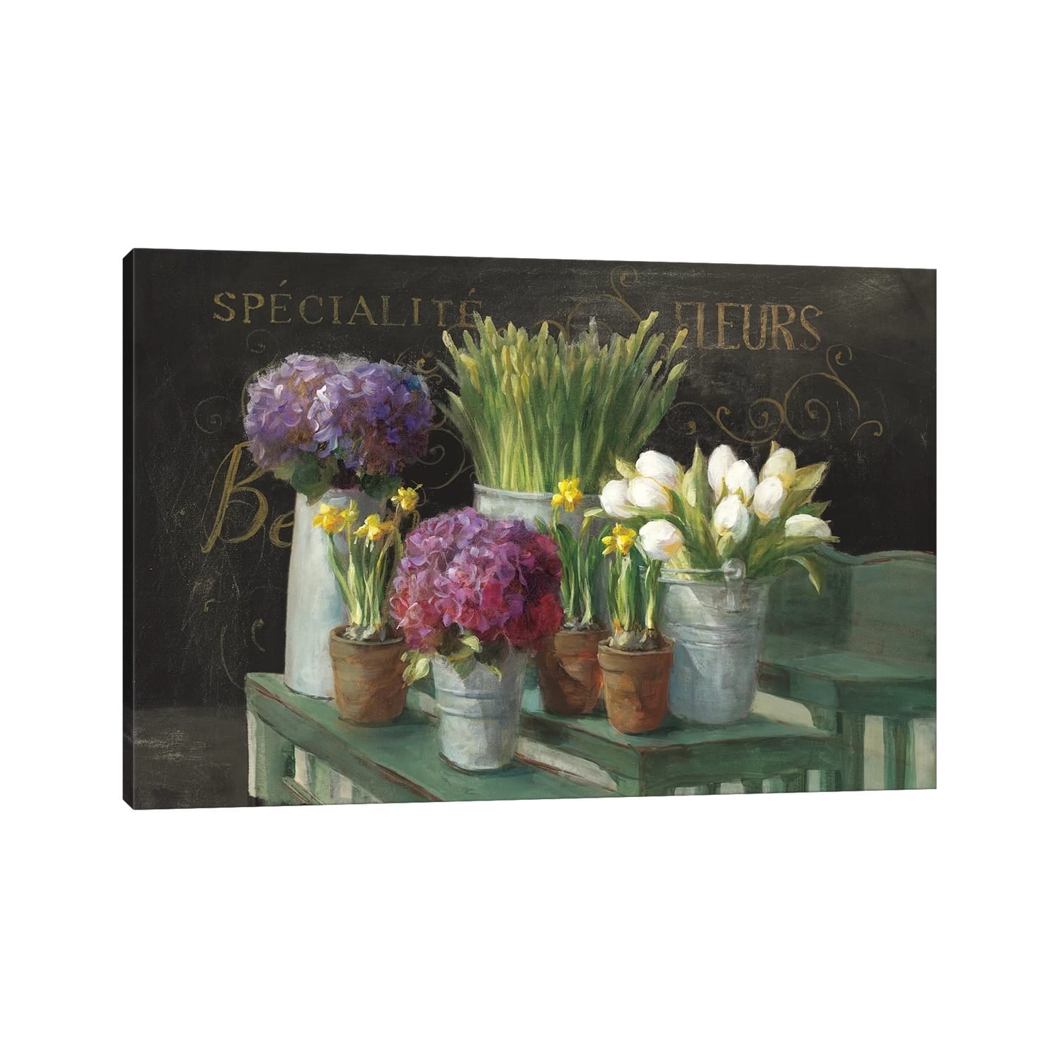 Icanvas Les Fleurs Printemps On Black By Danhui Nai Canvas Print