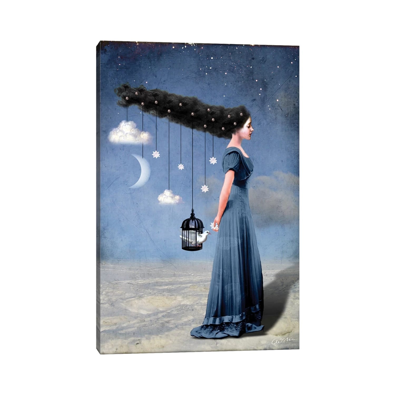Icanvas Liberty By Catrin Welz Stein Canvas Print