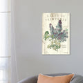 Icanvas Lilas De Printemps By Sue Schlabach Canvas Print